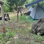 Campingplads Brandito's
