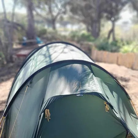 Brandito's Campsite *