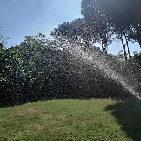 Brandito's مكان تخييم *