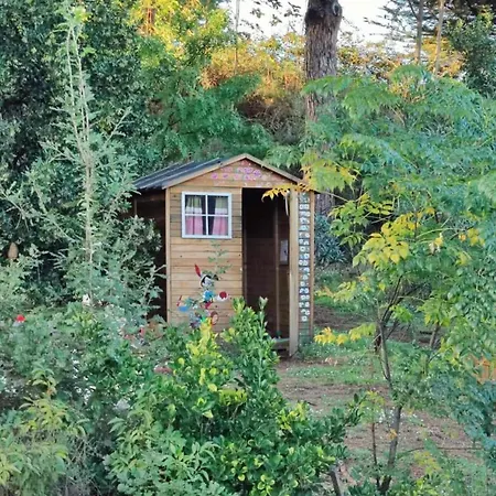 Brandito's Campsite