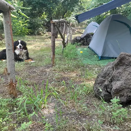 مكان تخييم Brandito's