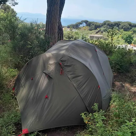 Brandito's Campsite