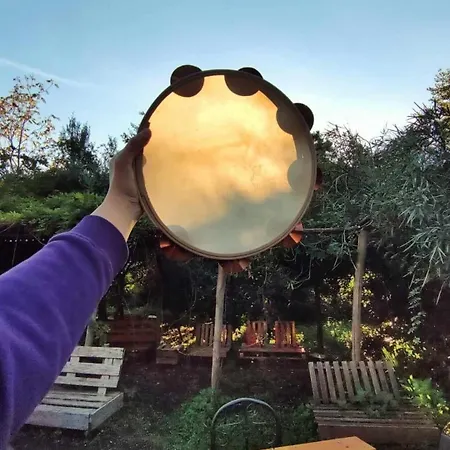 Brandito's * توري دل غريكو