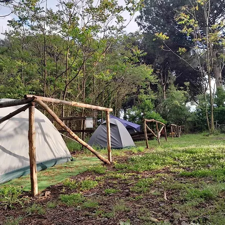 Brandito's Campsite
