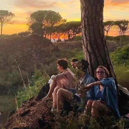 Brandito's توري دل غريكو