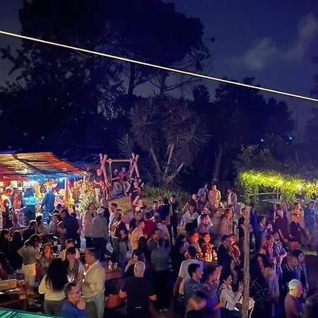 مكان تخييم Brandito's