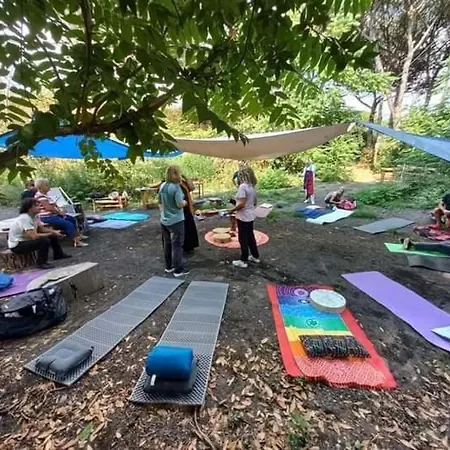 مكان تخييم Brandito's