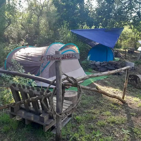 Brandito's Campsite *