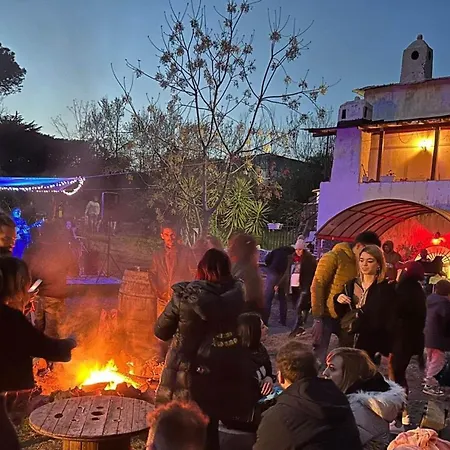 مكان تخييم Brandito's *