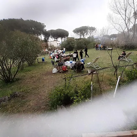 مكان تخييم Brandito's