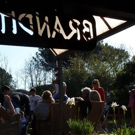 Brandito's مكان تخييم