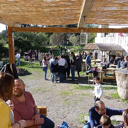 Campsite Brandito's